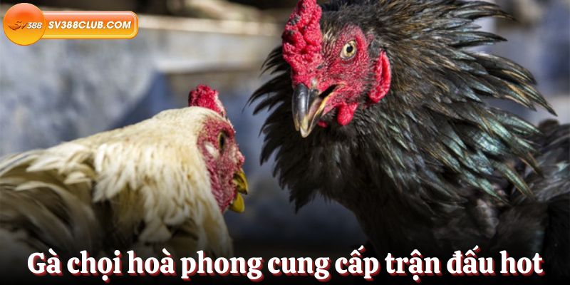 Hình minh họa — Lixi88